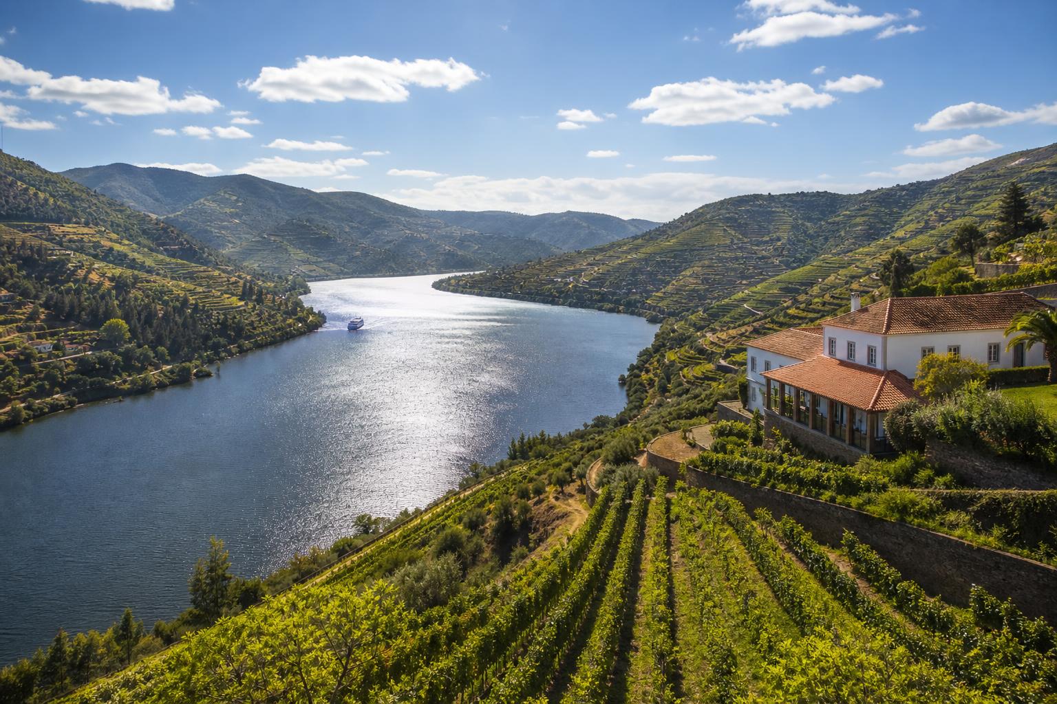 Douro Wine Tour Retreat